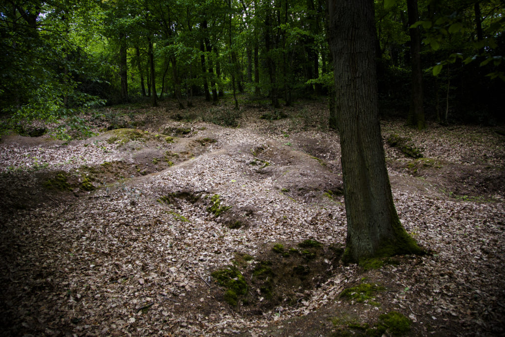 Faded trenchlines and foxholes in Belleau Wood American WWI Monument, in Cantigny, France. (Photo by Warrick Page/ABMC).