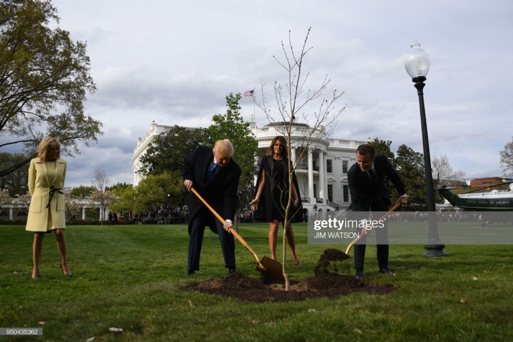 Donald John Trump, of Trump University, and French President Macron shovel soil onto a French oak sapling on the White House grounds, Washington, D.C., Monday, 23 April 2018 (Photographer Jim Watson / AFP via Getty Images.)