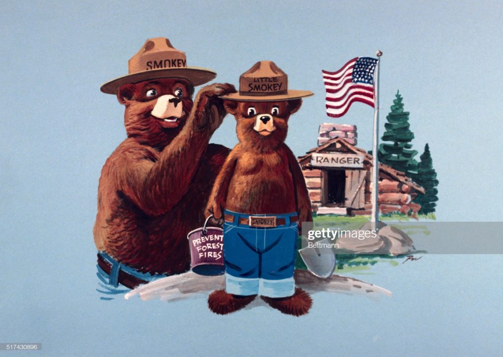 Smokey Bear and Little Smokey, U.S. Department of Agriculture, Monday, 15 November 1971. (Photo Bettmann via Getty Images.)