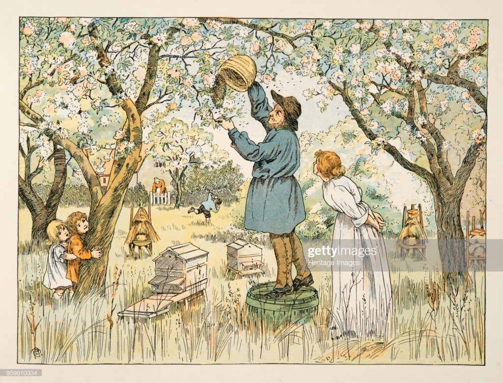The Bee Farmer, by Edward Verrall Lucas, colour lithography, published 1900. (Photograph Historica Graphica Collection / Heritage Images via Getty Images.)
