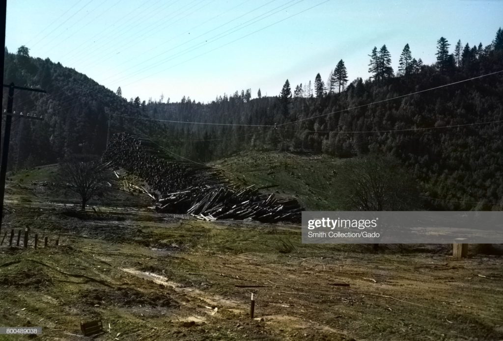 Logs in the midst of a clear cut forest, California (circa 1950). (Photographer Smith Collection / Gado / Archive Photos via Getty Images.)