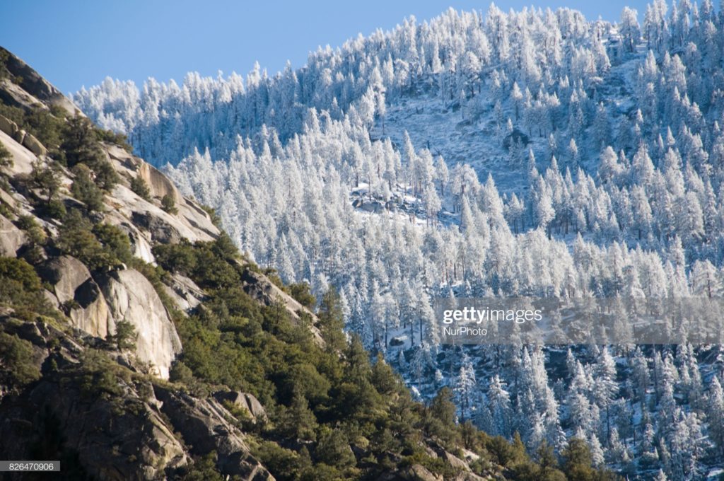 Sequoia National Park, California. (Photographer Diego Cupolo / Nurphoto via Getty Images.)